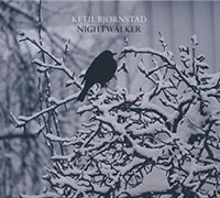 Bjoernstad Nightwalker COVER