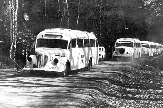 Danish White Buses in Germany WW2 possibly near Friedrichsruh