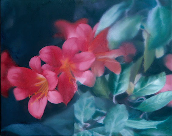 Gerhard Richter Blumen 1977 Oel auf Leinwand 40 x 50 cm Privatsammlung C Gerhard Richter