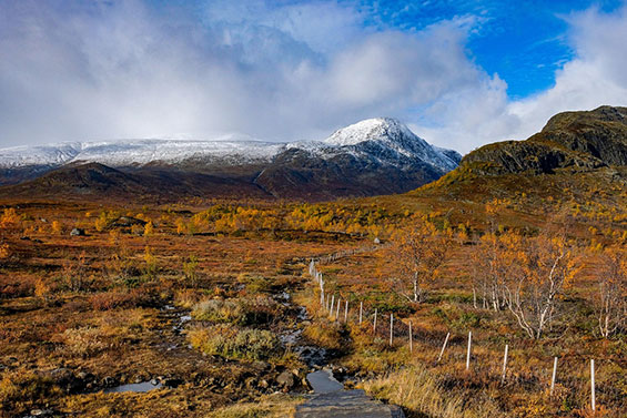 Valdres F Finn Bjurvoll Hansen