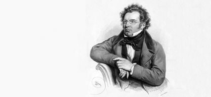 Wahlverwandtschaft – Franz Schubert